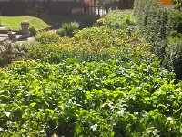 IMG 0533  to shame! What is it about the Valais?