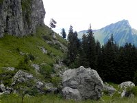 DSCN2119  Bushwhacking around cliffs: good that CP went elsewhere!