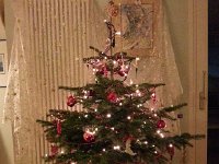 20141223 175437  The little tree all decorated