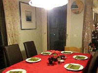 20141223 175456  They came en famille: five of them!