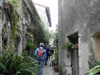 DSCN2801  Greenery resists the cold wind in the narrow lanes