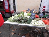 DSCN2840  No need for refrigeration today!