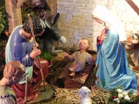 DSCN2842  The donkey reminds me of Eddie Murphy for some reason