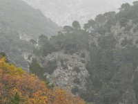 DSCN2858  As we drive toward Mons the landscape rises as does the wind
