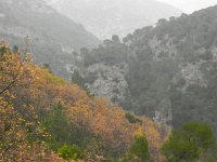DSCN2859  No photos from Mons as the storm reached a crescendo there with strong gusts and lots of rain. We ate lunch in the car, fogging up the windows.