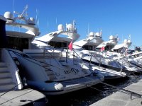 DSCN2878  All the same model?