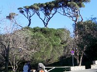 DSCN2887  We circled the fortresse above the town