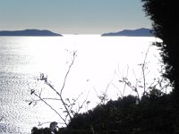 DSCN2893  What can I say?