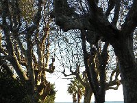 DSCN2898  Destination was le Hotel Poseidon in La Seynes-sur- Mer, beyond Toulon