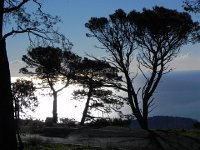 DSCN2950  Light, water and trees