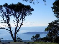 DSCN2951  French Zen