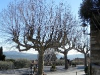 DSCN2962  From Toulon to Grimaud, another place visited en famille in 2000