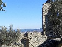 DSCN2975  Arrested decay