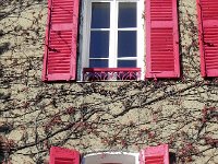 DSCN2984  Window art