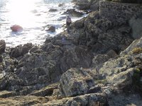 DSCN3003  Sometimes it was hard to find