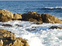 DSCN3005  flushing the rocks