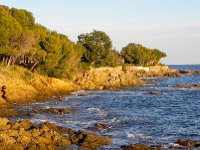 DSCN3006  The littoral