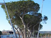 DSCN3041  but instead we did it here