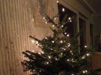 20141206 183209  The perfect size for our place