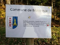 20141222 154054  The town forest add each hour an amount of wood equal to that in the log to the right. The town only cuts an amount equal to that below the red mark