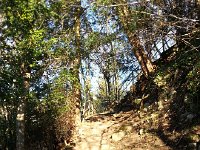 20141223 151950  December 23 - starting up the Sentier du Télégraphe