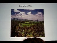 20141215 125359  Szenzhen at we never saw it