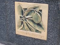 20141218 160014  I remember