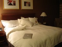 DSC01191  I stayed overnight in Piscataway Radisson