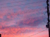 DSC01225  Looking East I saw this