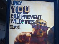 DSC01228  Smokey Bear is your buddy