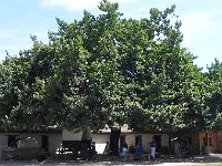 DSCN1668  Mark&#39;s pass to all the State Parks got us into Sutter&#39;s Fort free.