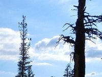 DSCN1692  Mitten (or Glove) Peak across the valley