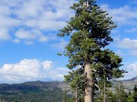 DSCN1697  Contact zone - volcanics and granite