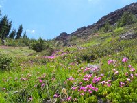 DSCN1709  Beautiful but steep