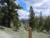 DSCN1711  Trail junction