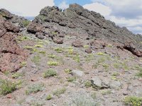 DSCN1719  Here I spoke to Nikki in Wellsley!