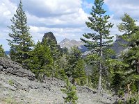 DSCN1720  Subalpine in the summer