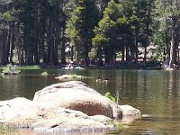 20140713 145502  Geese pair