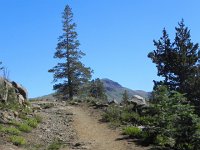 DSCN1727  The trails here are so gentle!