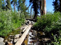DSCN1729  Stream crossing - note flowing water!