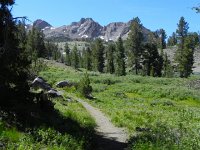DSCN1733  Crags to the west of Roundtop