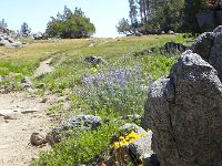 DSCN1747  Rock garden