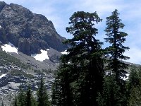 DSCN1767  Bright sun, dark shadows