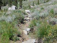 DSCN1769  A trail rehabilitation project