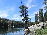 DSCN1782  Tree and lake art