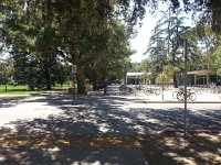 20140714 143234  I went to Shields Library to do some work/shed some heat