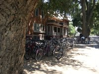 20140714 143338  Cork oak and bicycles - icons of Davis