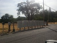 20140715 092649  Rural mailboxes replaced by these sturdy standardiized models.