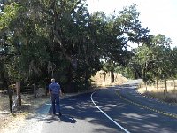 DSCN1600  Rolf inspects valley oaks