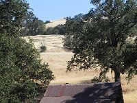 DSCN1606  in this classic California landscape.